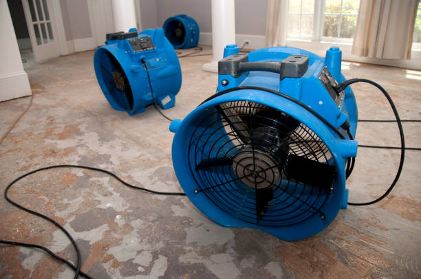 Carpet water damage restoration in AL