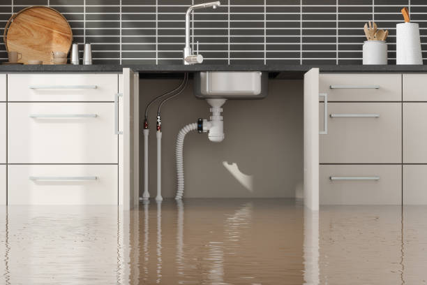 Best Basement water damage restoration  in Hokes Bluff, AL